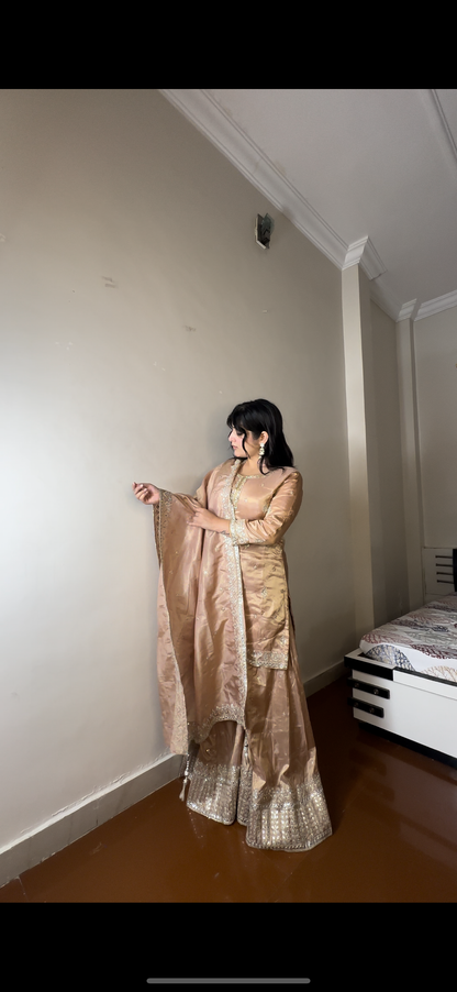 Shimmer tissue plazo set