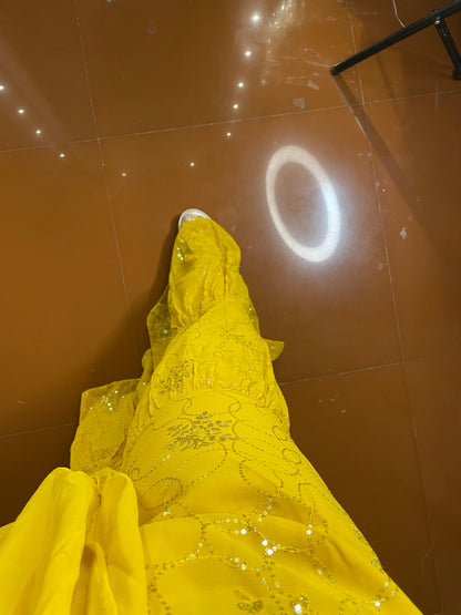 Predrape sharara saree