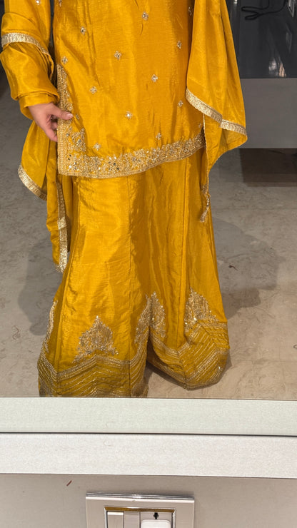 Saanvi suit set