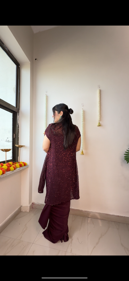 Glittery saree