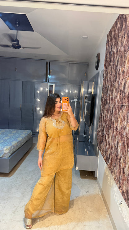 Zari circle neck set