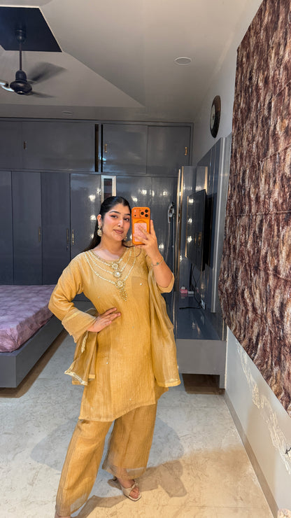 Reshmani kurta set