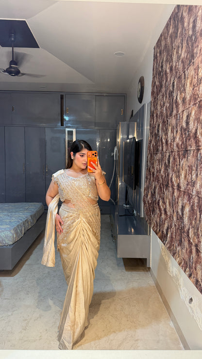 Shimmery saree