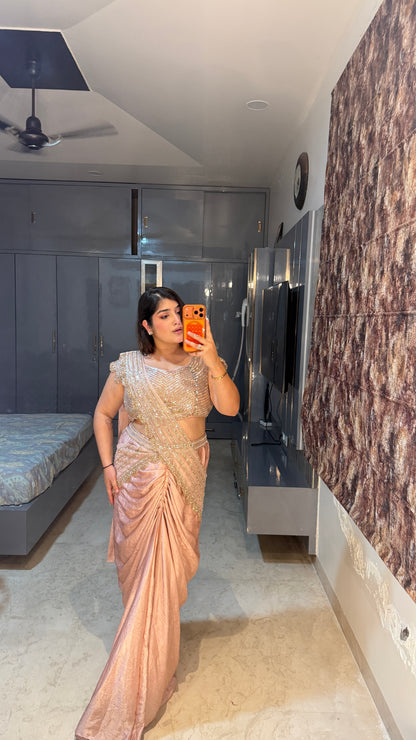 Shimmery saree