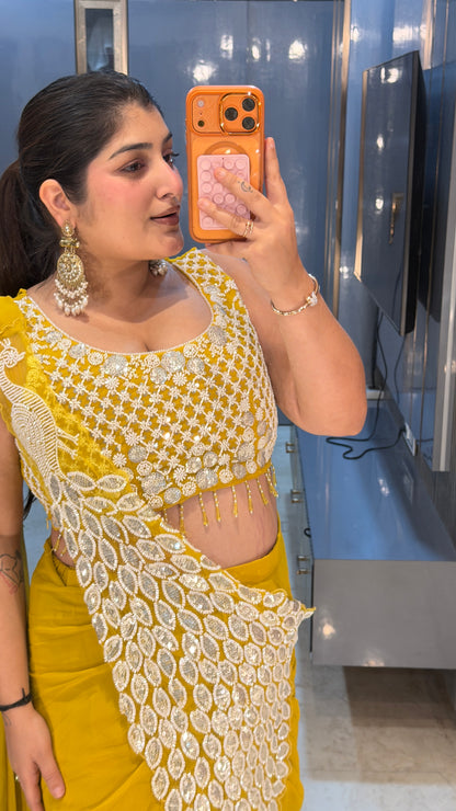 Heavy pallu saree