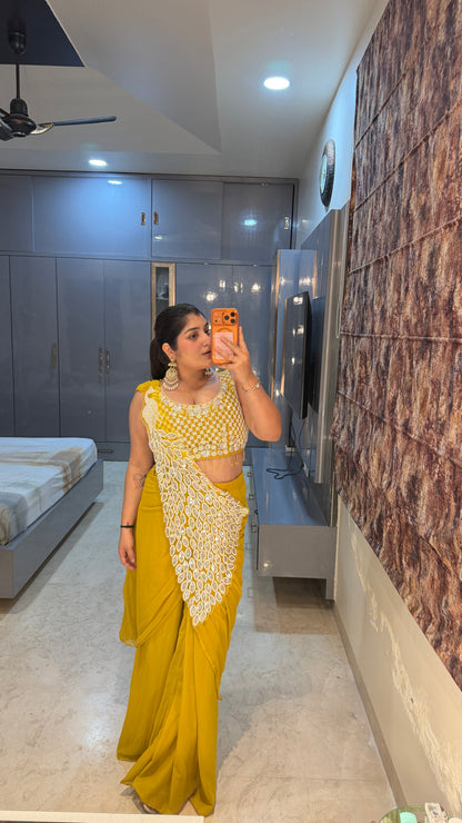 Heavy pallu saree