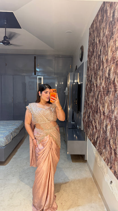 Shimmery saree