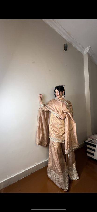 Shimmer tissue plazo set