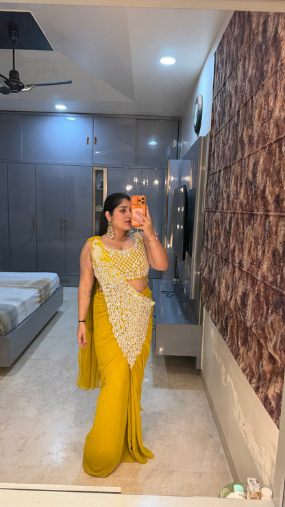 Heavy pallu saree