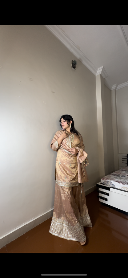 Shimmer tissue plazo set