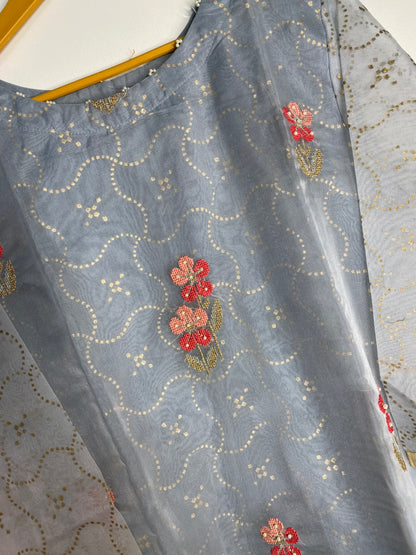 Organza Kurti with skirt  and duppatta