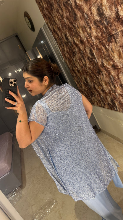 Glittery saree