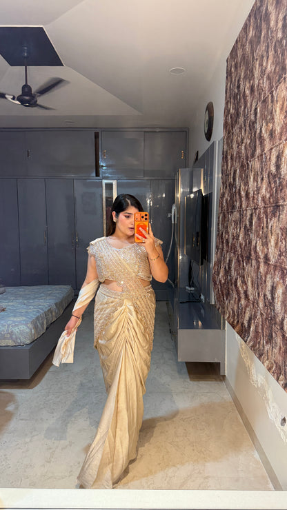 Shimmery saree