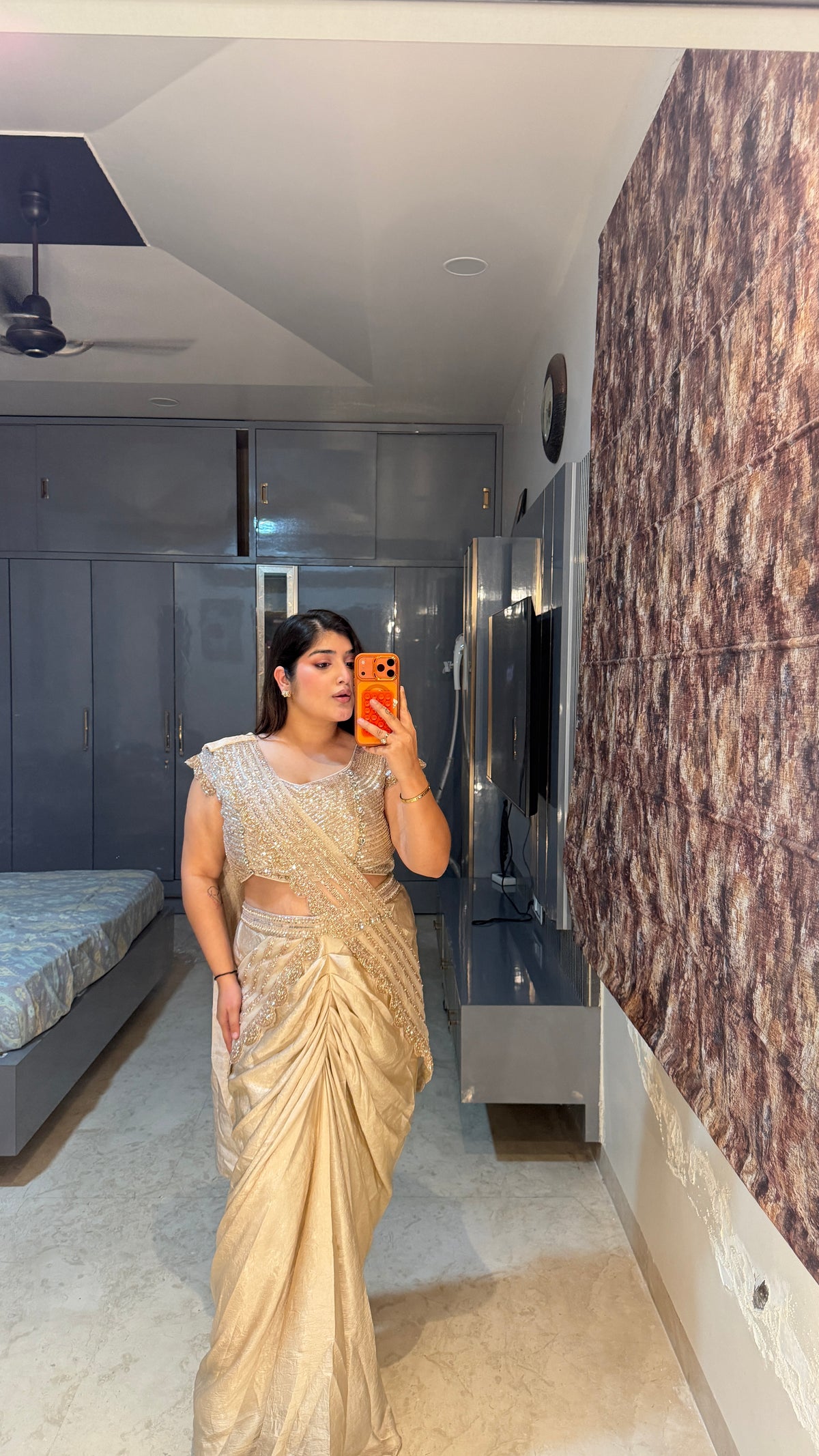 Shimmery saree