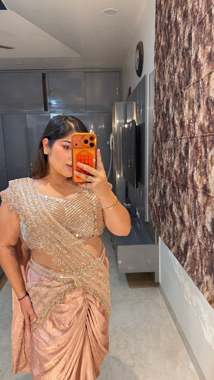 Shimmery saree